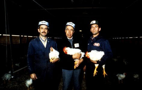 1989 chicken growers