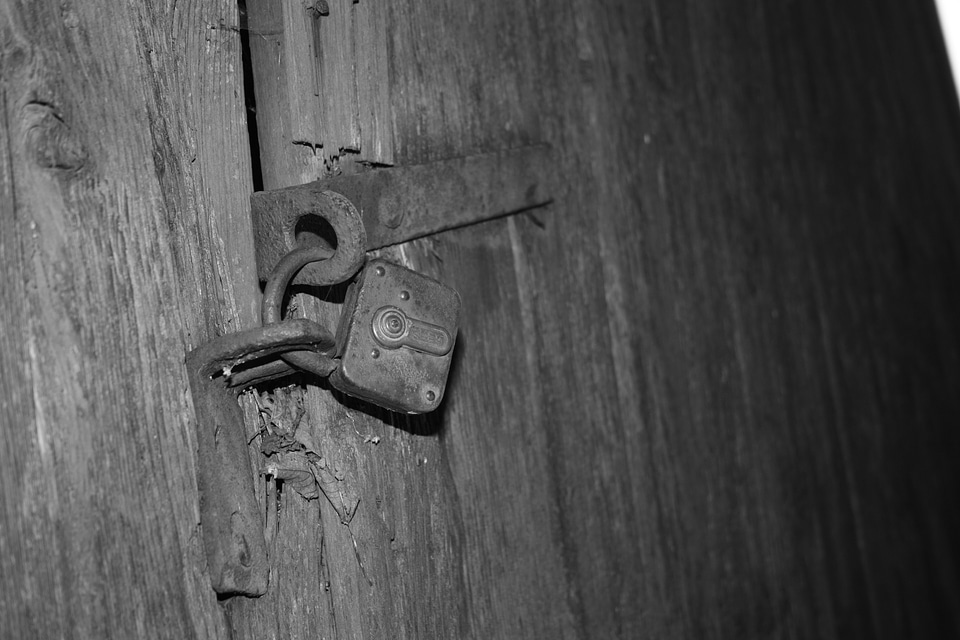 Hut forest forest lodge