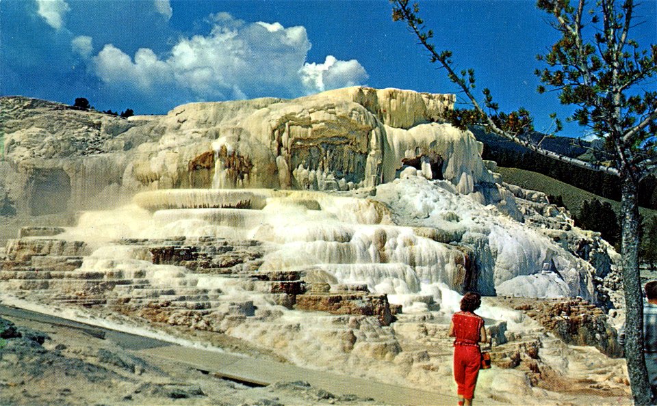 Minerva Terrace, Yellowstone National Park