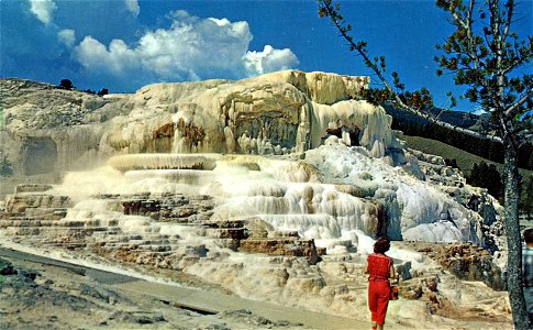 Minerva Terrace, Yellowstone National Park photo