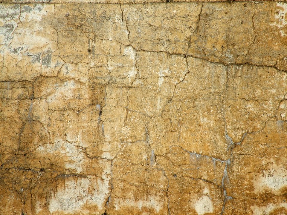 DSCF1801