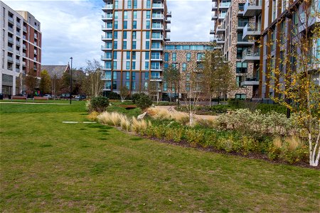 181104 Woodberry Down + Spring Park SuDS (1 of 19)