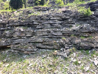 Interbedded Carbonates with Minor Back-Thrusts (McMillan Formation, Kentucky, USA)