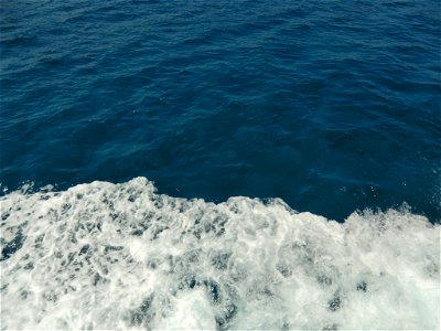 Sea Foam / Морская пена photo