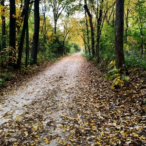 Illinois Prairie Path