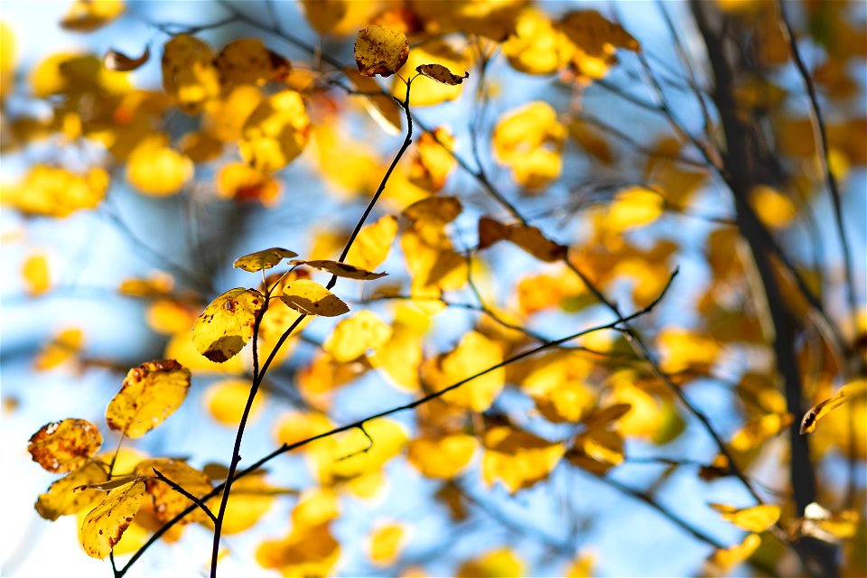 october sky