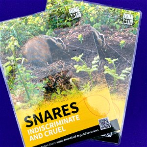 Ban snares: Halifax outreach day