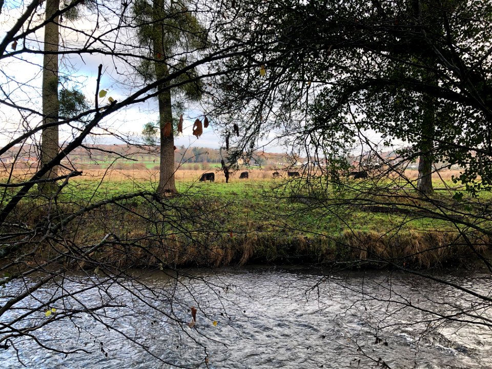 Onderweg naar Valkenburg - Ravenbeek