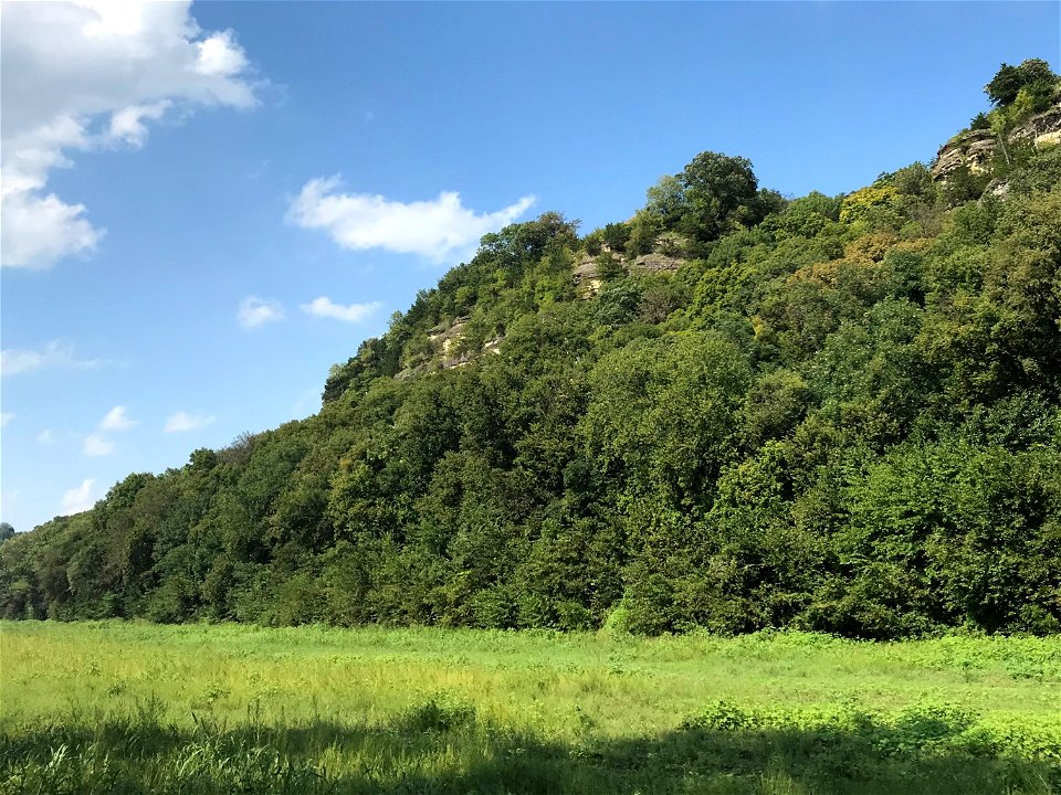 Tall Bluff of Jefferson City-Cotter Dolomite 1