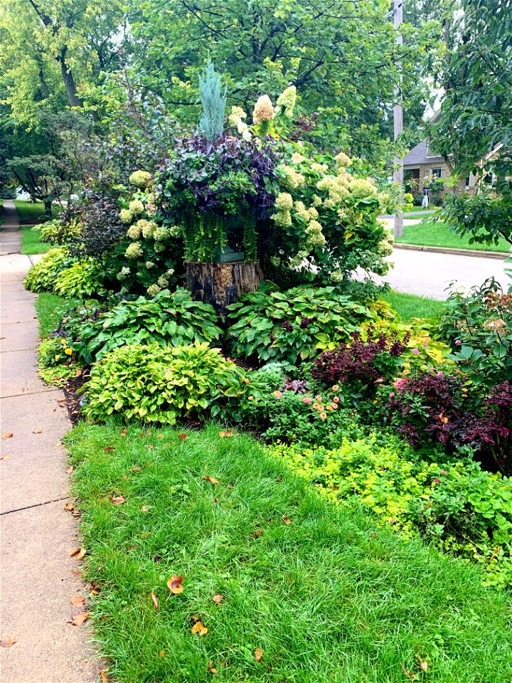 Parkway Greenery