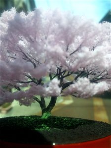 桜の模型№,11 photo