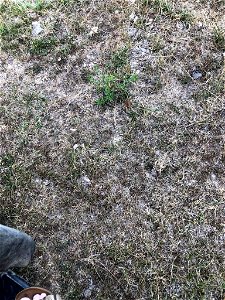 Cooper 20220726-004-04 (9)
