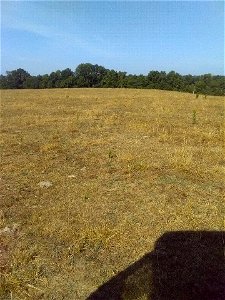 Ozark 20220723-003-03 (32655)