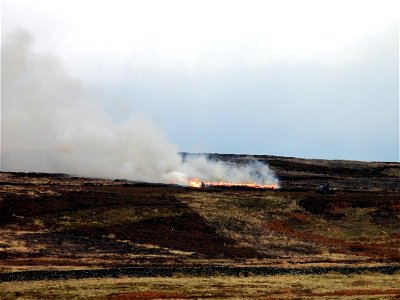 Bingley Moor (09-11-2021) 4