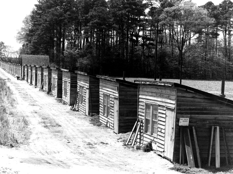 Agriculture:  chicken houses: old style  house