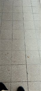 Líneas verticales y horizontales