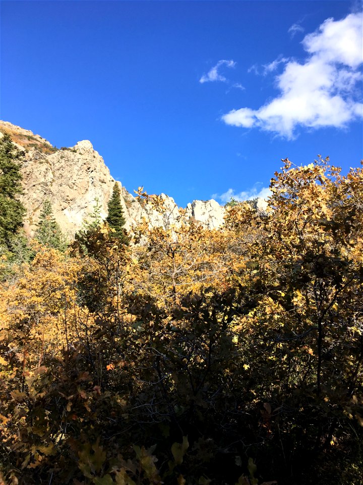 Bells Canyon, Uinta-Wasatch-Cache National Forest, Utah