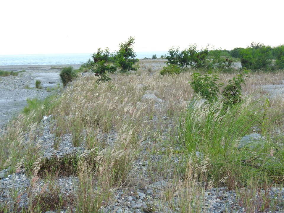 知本溪口南岸