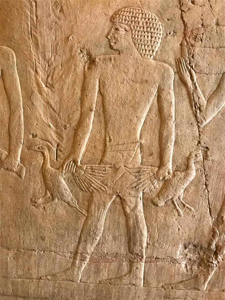 Saqqara