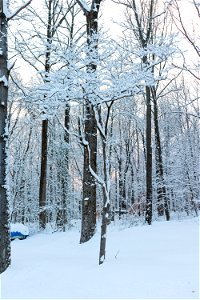 20210207 Chester Snow-22.jpg