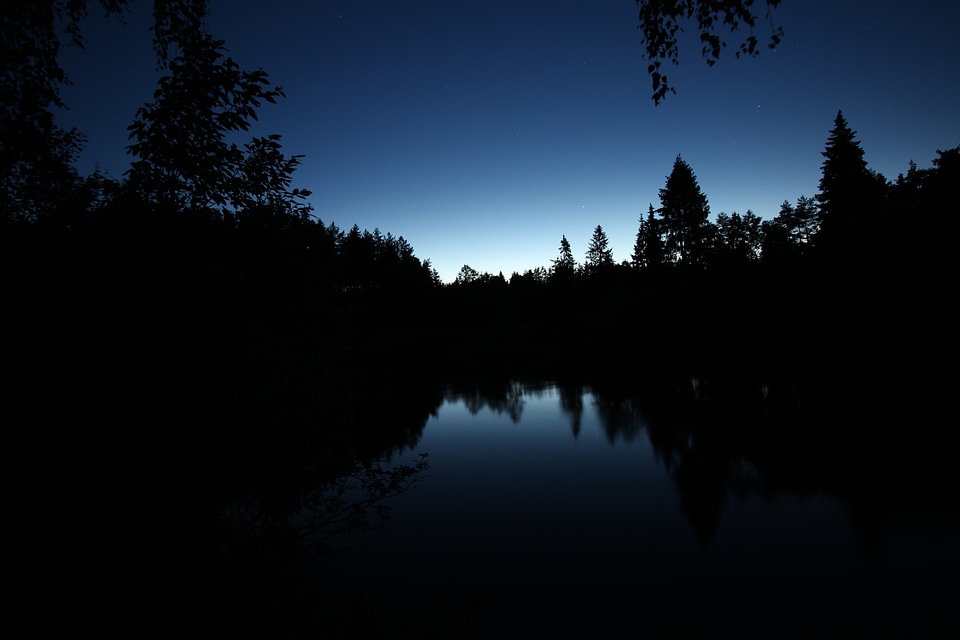 Night