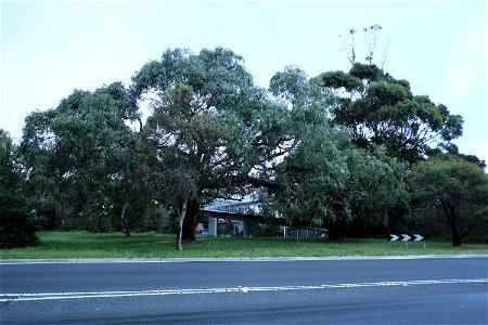 DSCF7650