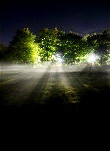 Nebel im Beethovenpark photo