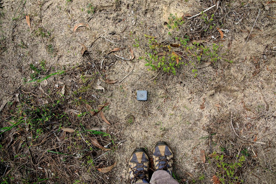 Ground photo 1