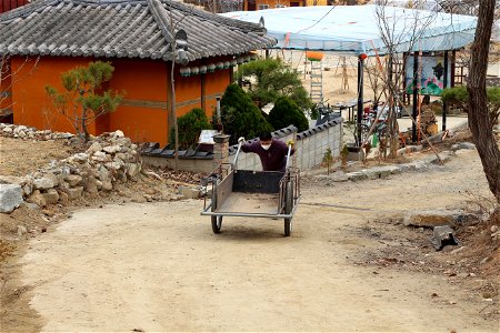 IMG_000231