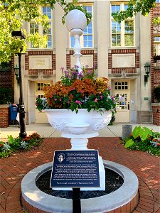 Horse Trough in Glen Ellyn