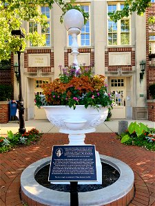 Horse Trough in Glen Ellyn photo