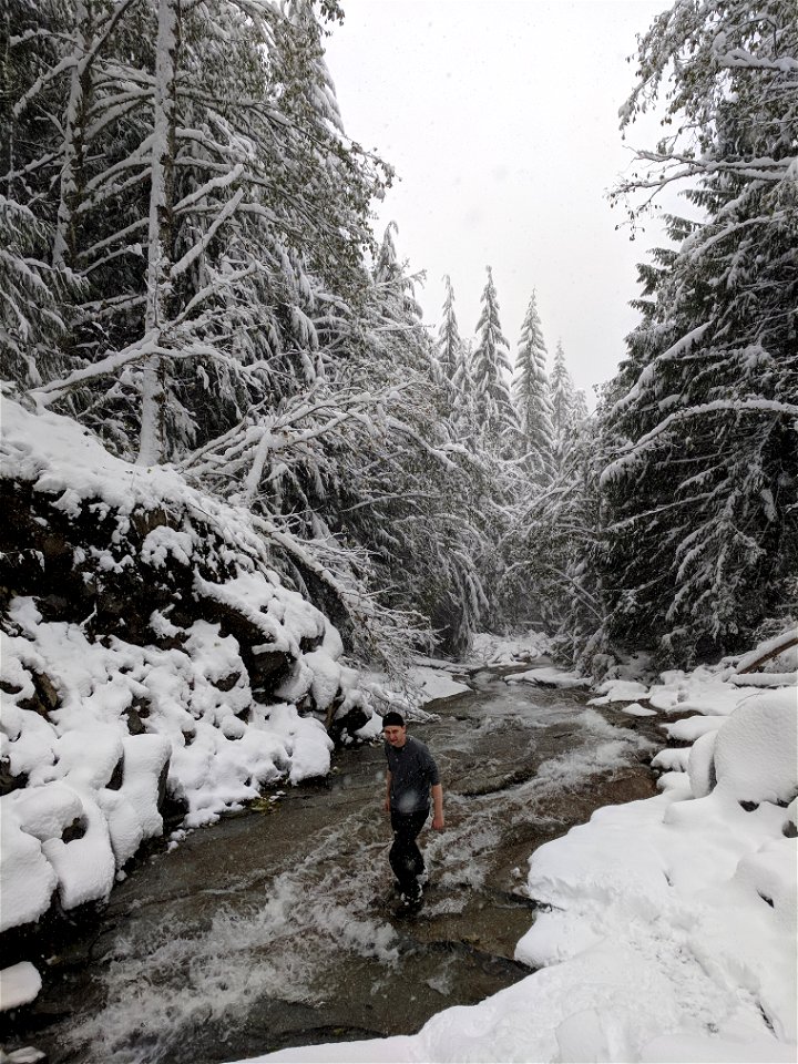 Man Stands in Creek