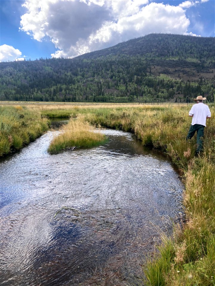 Riparian Work photo