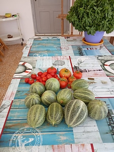 Sikinos Island Greek Summer