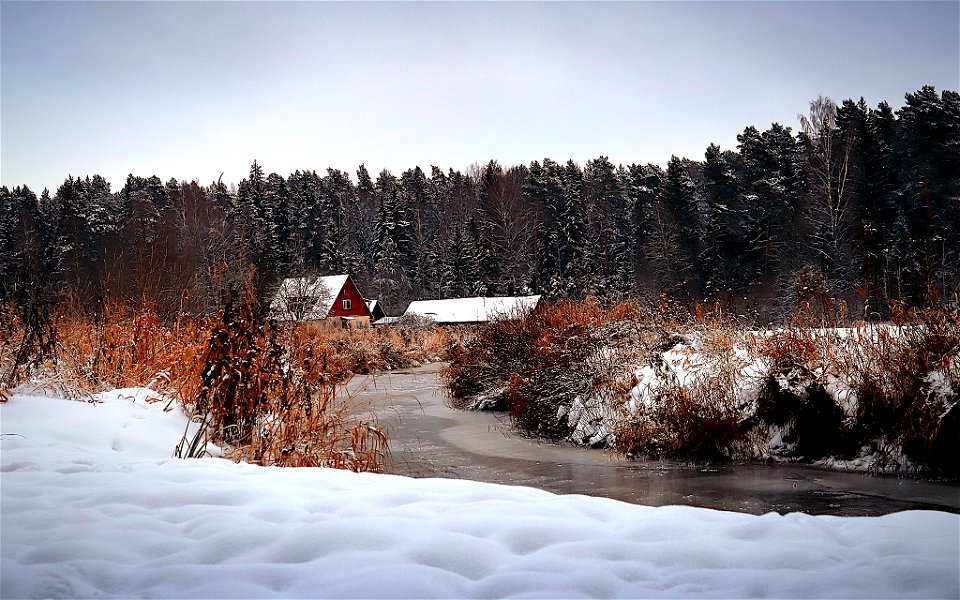 House by the creek