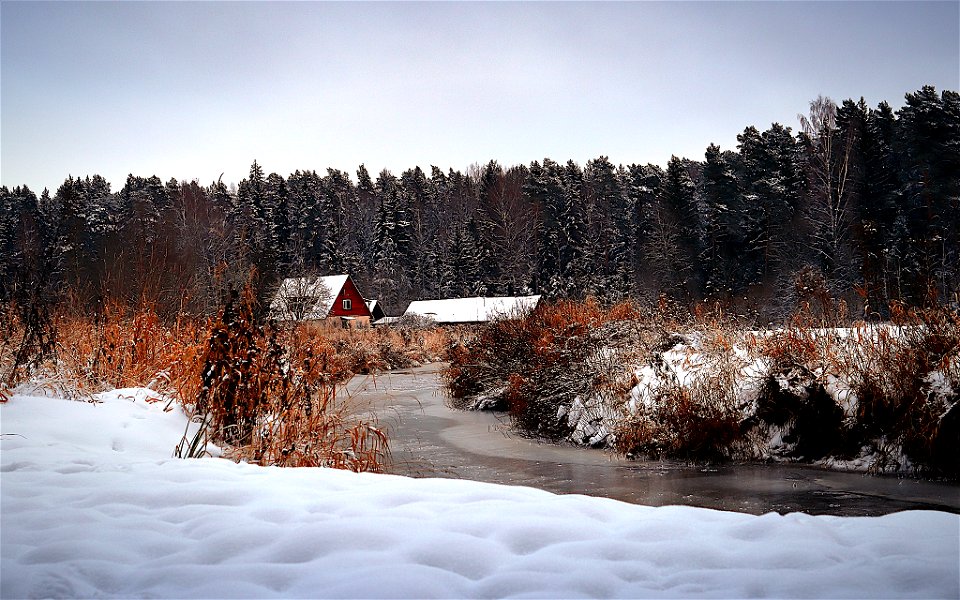 House by the creek photo