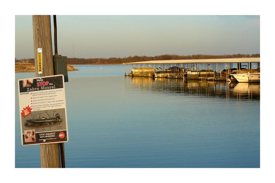 Help Stop the Zebra Mussel Sign, Smithville Lake
