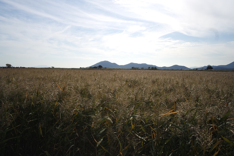 Natural landscapes