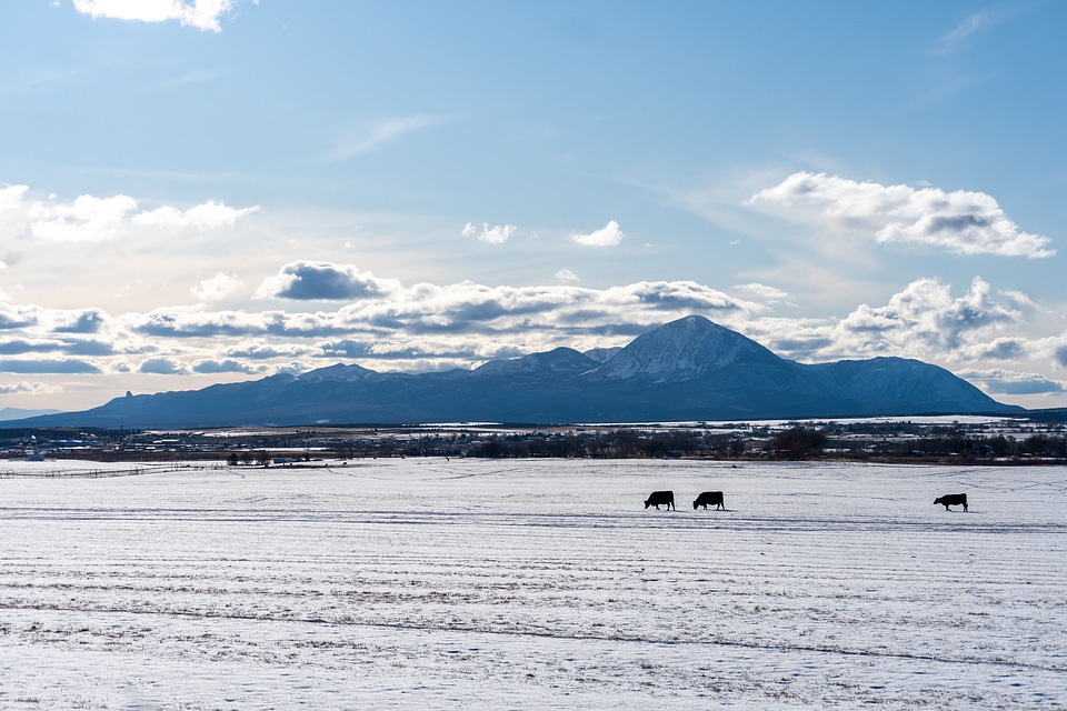 sleeping ute mountain