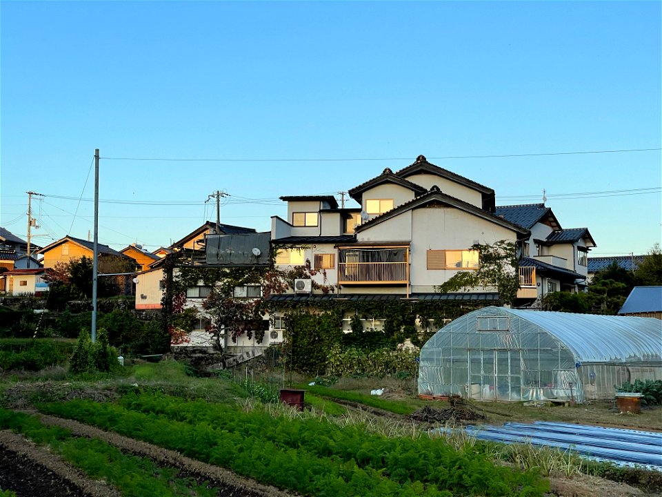 intricate house and garden