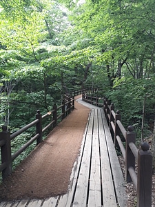 Gayasan National Park in South Korea