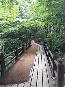 Gayasan National Park in South Korea photo