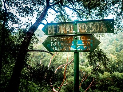Birdwood Gully (Springwood) - The Blue Mountains Australia