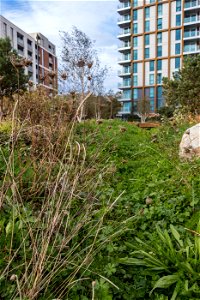 181104 Woodberry Down + Spring Park SuDS (6 of 19)