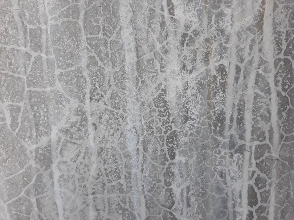Cement