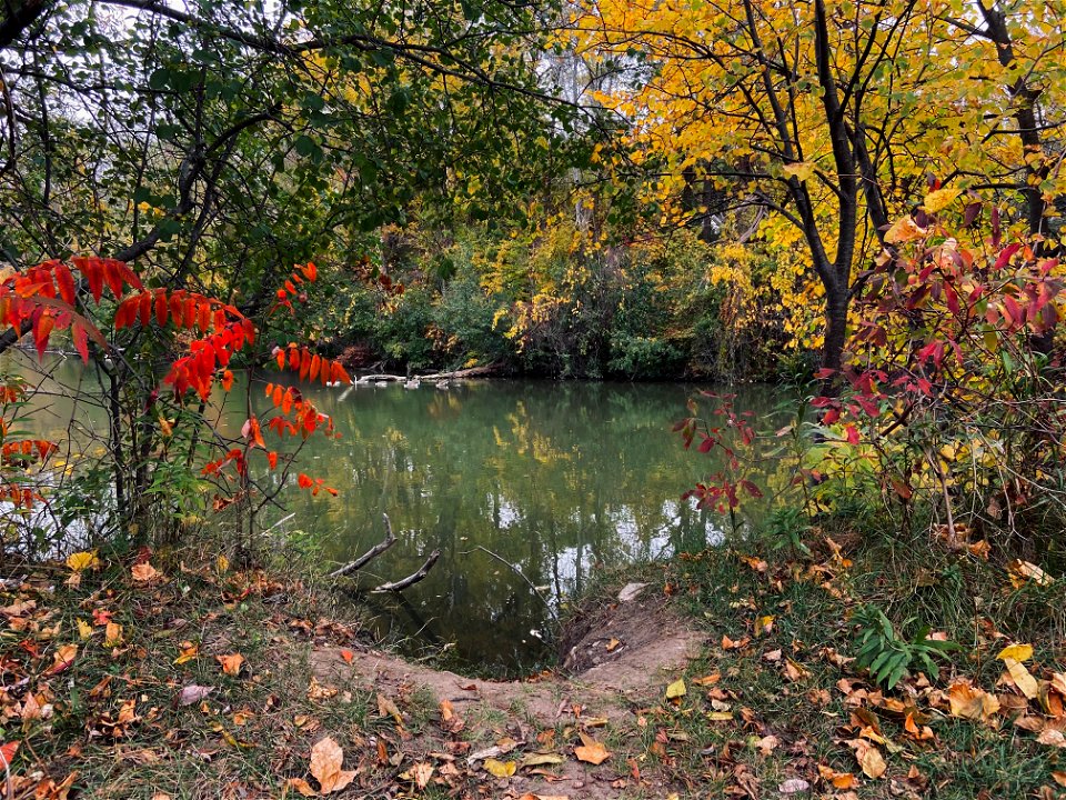 Walking by the Mohawk Lake, Brantford, Canada