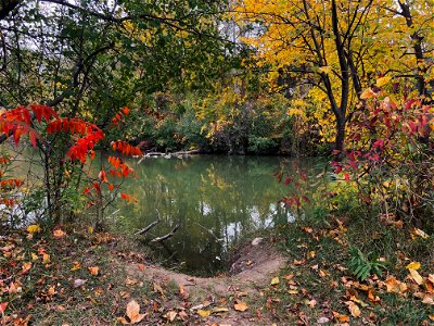 Walking by the Mohawk Lake, Brantford, Canada