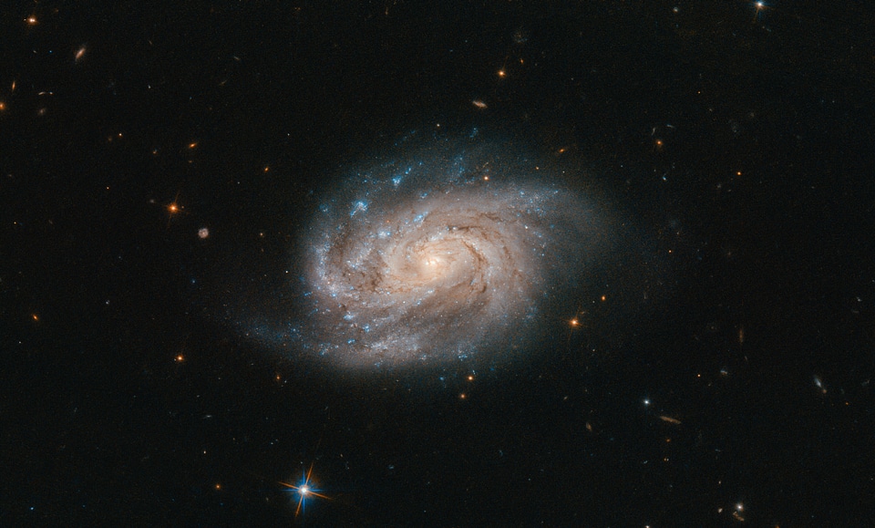 Hubble Views Galaxy