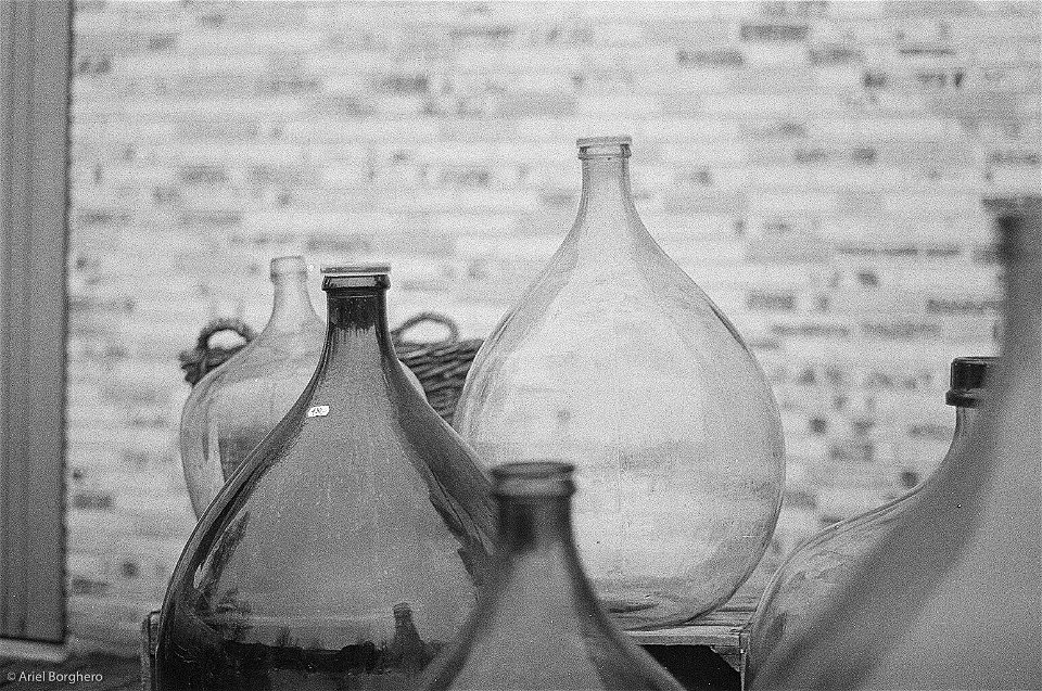 Ariel Borghero - 35mm -7.jpg