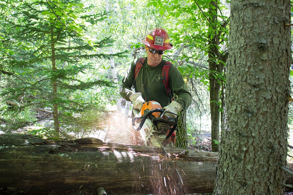 Tatanka Hotshots Cut Trees off